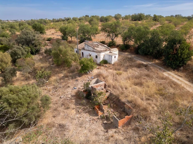 Terreno para Venda em Ferreiras Foto 5
