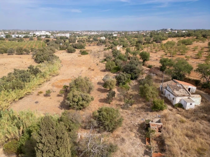 Terreno para Venda em Ferreiras Foto 2