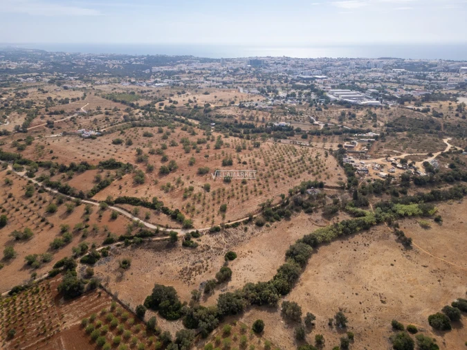 Terreno para Venda em Ferreiras Foto 10