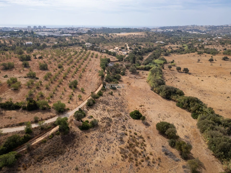 Terreno para Venda em Ferreiras Foto 11