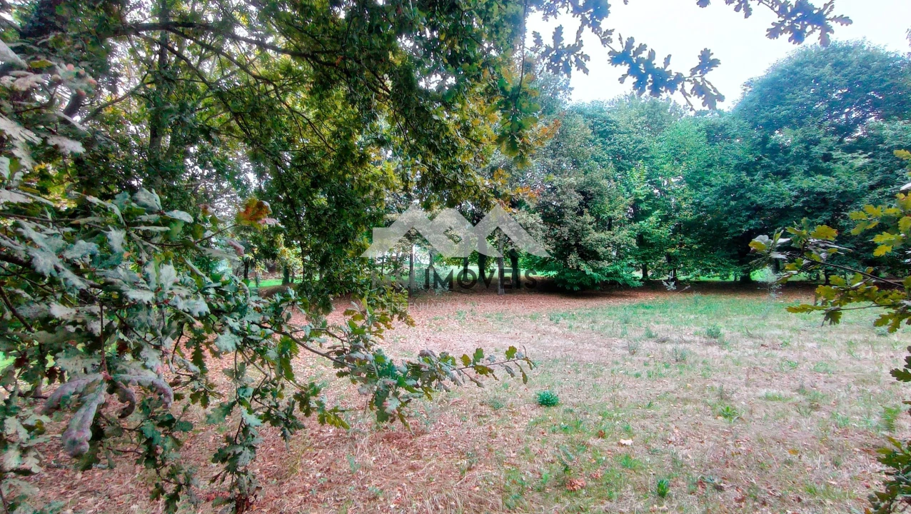 Terreno para Venda em Cabeceiras de Basto Foto 17