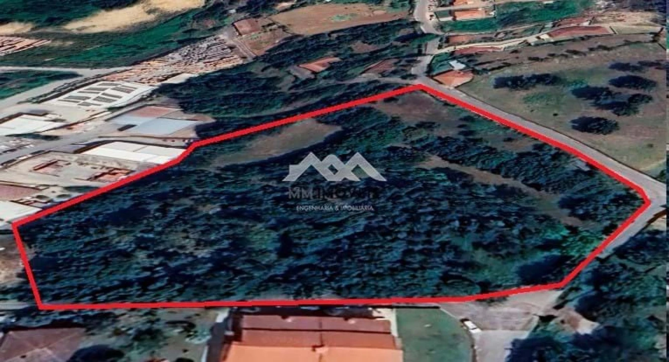 Terreno para Venda em Cabeceiras de Basto Foto 5