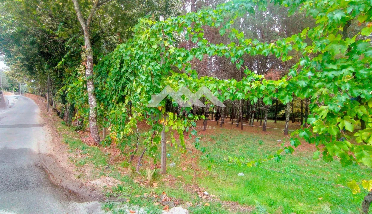 Terreno para Venda em Cabeceiras de Basto Foto 16