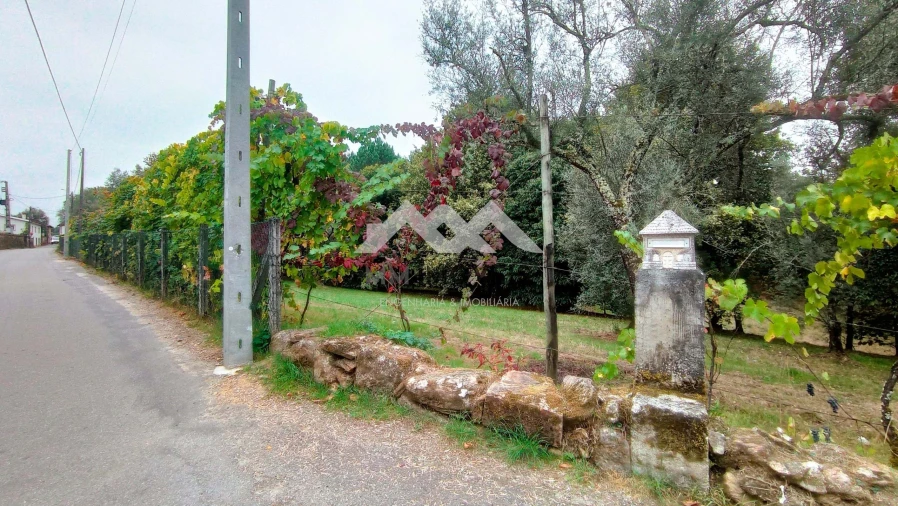 Terreno para Venda em Cabeceiras de Basto Foto 13