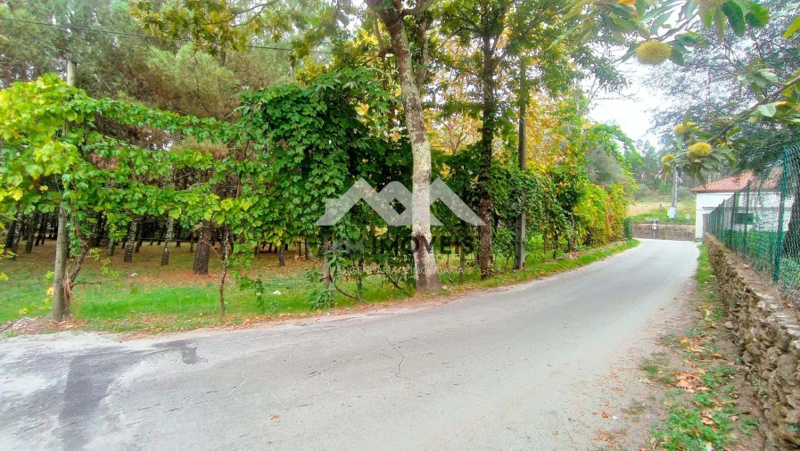 Terreno para Venda em Cabeceiras de Basto Foto 11