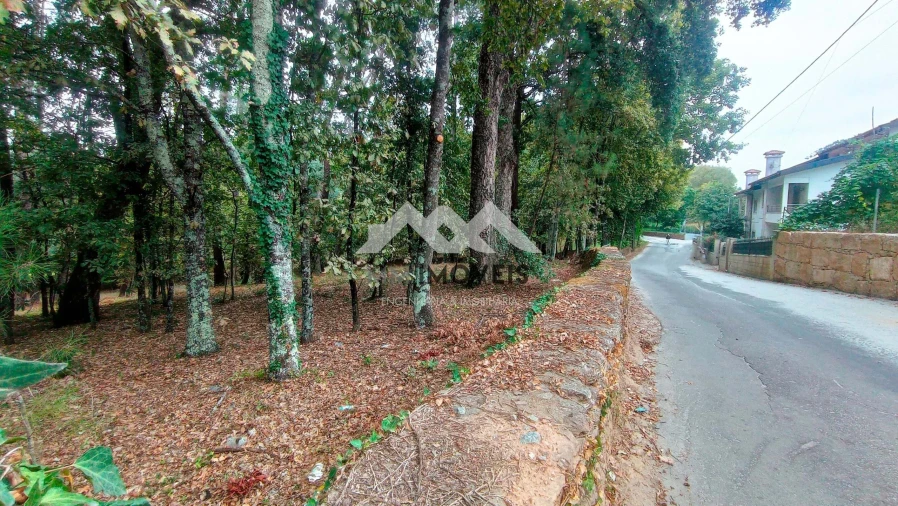 Terreno para Venda em Cabeceiras de Basto Foto 10