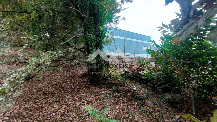 Terreno para Venda em Cabeceiras de Basto Foto 18