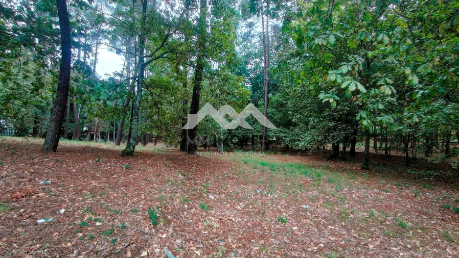 Terreno para Venda em Cabeceiras de Basto Foto 19