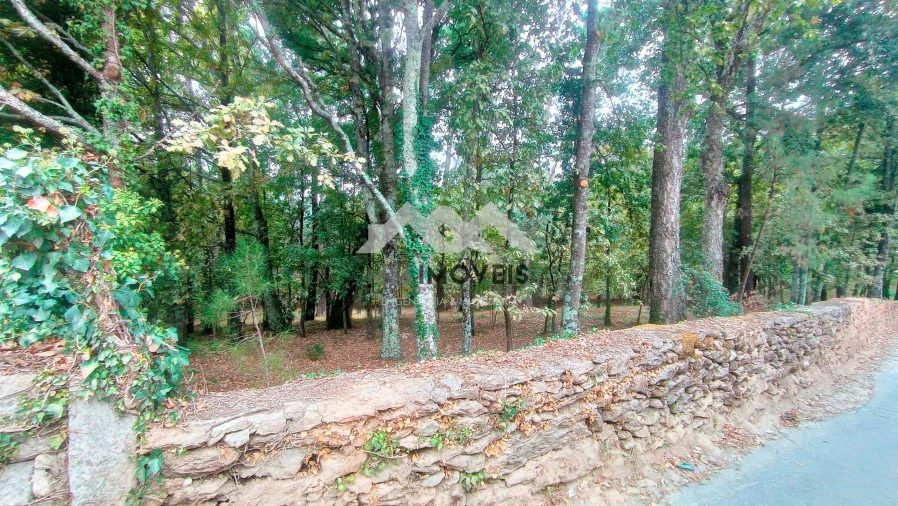 Terreno para Venda em Cabeceiras de Basto Foto 9