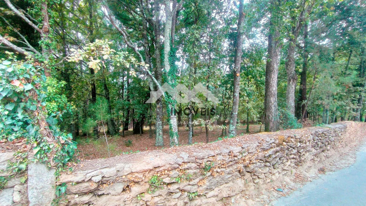 Terreno para Venda em Cabeceiras de Basto Foto 9