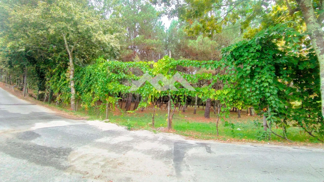 Terreno para Venda em Cabeceiras de Basto Foto 12