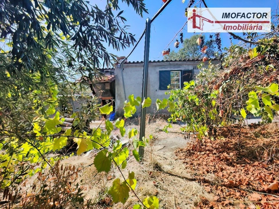 Quinta T1 para Venda em Freixial e Juncal do Campo Foto 4