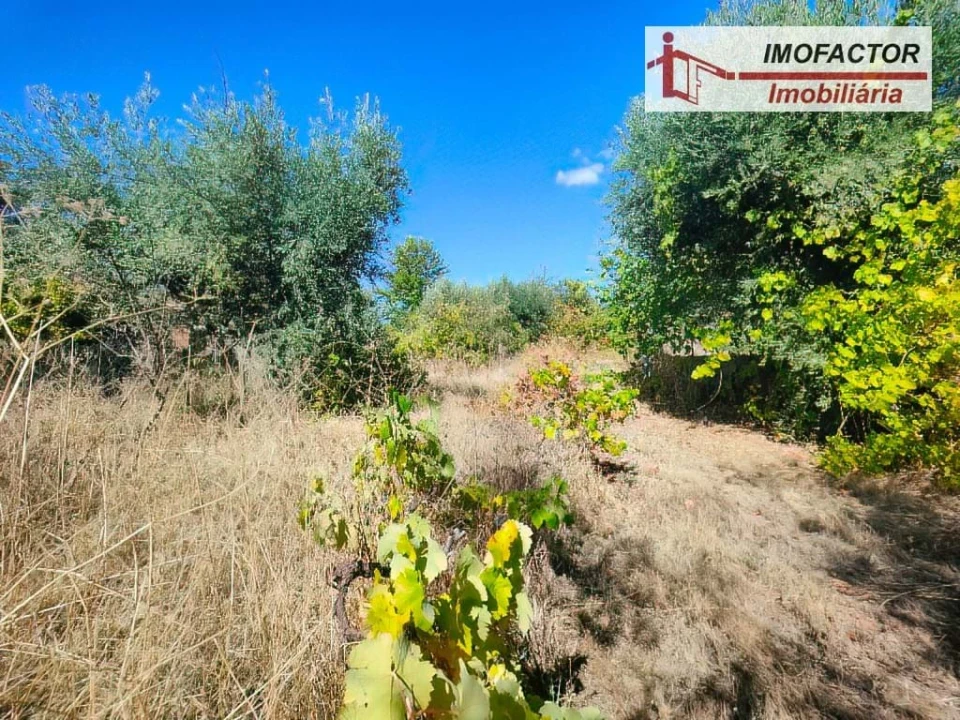 Quinta T1 para Venda em Freixial e Juncal do Campo Foto 7