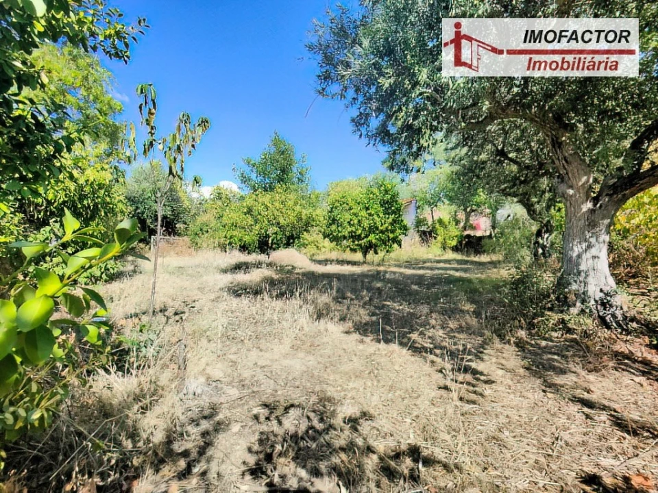 Quinta T1 para Venda em Freixial e Juncal do Campo Foto 9