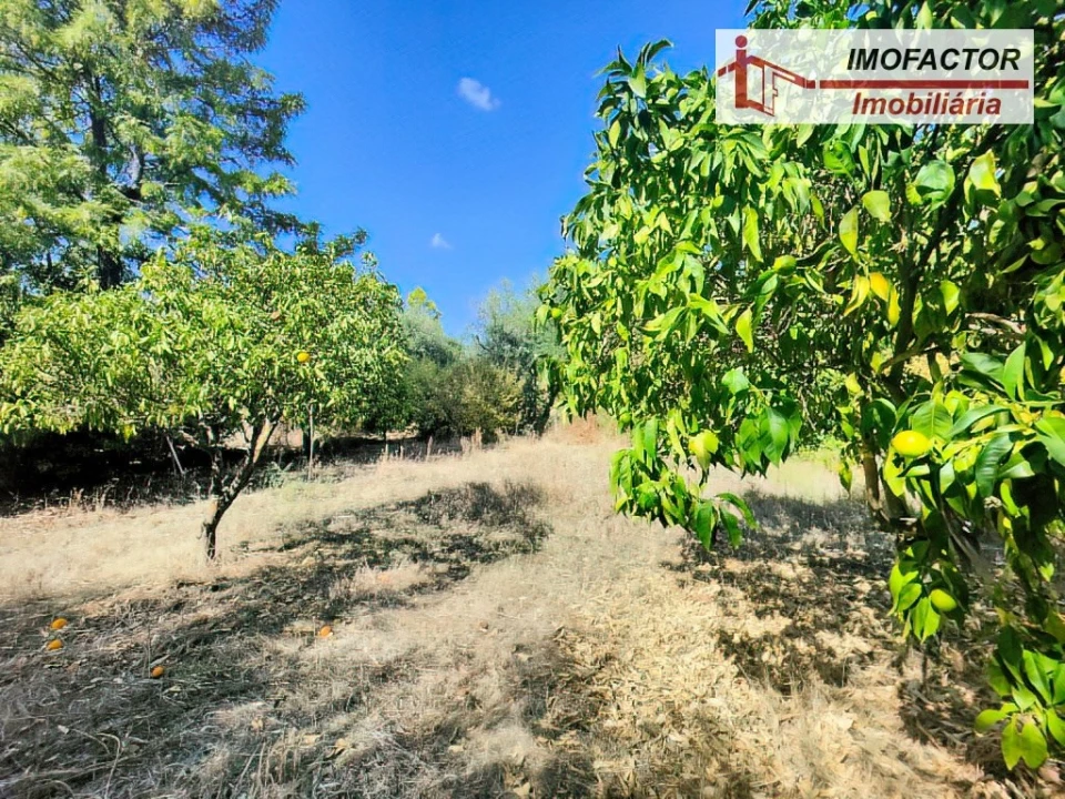 Quinta T1 para Venda em Freixial e Juncal do Campo Foto 5