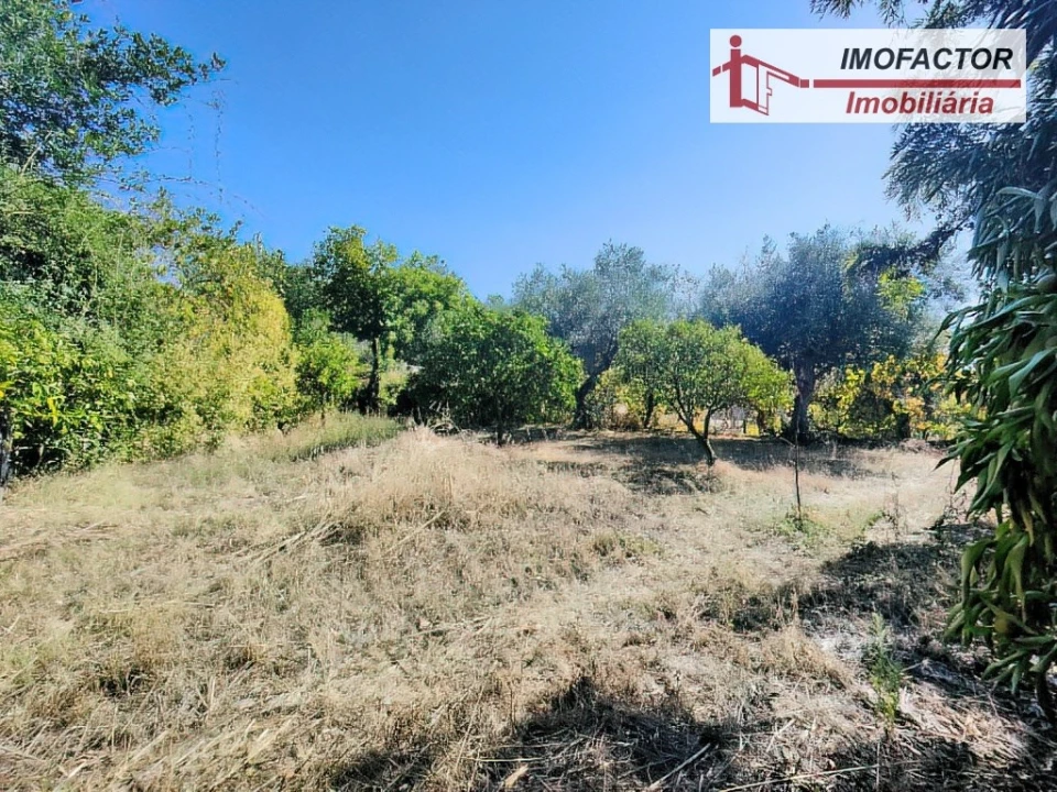 Quinta T1 para Venda em Freixial e Juncal do Campo Foto 6