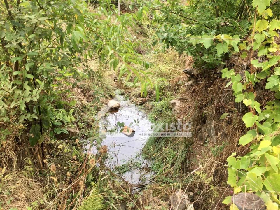 Quinta T3 para Venda em Graça Foto 29