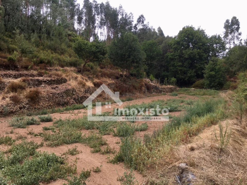 Quinta T3 para Venda em Graça Foto 31