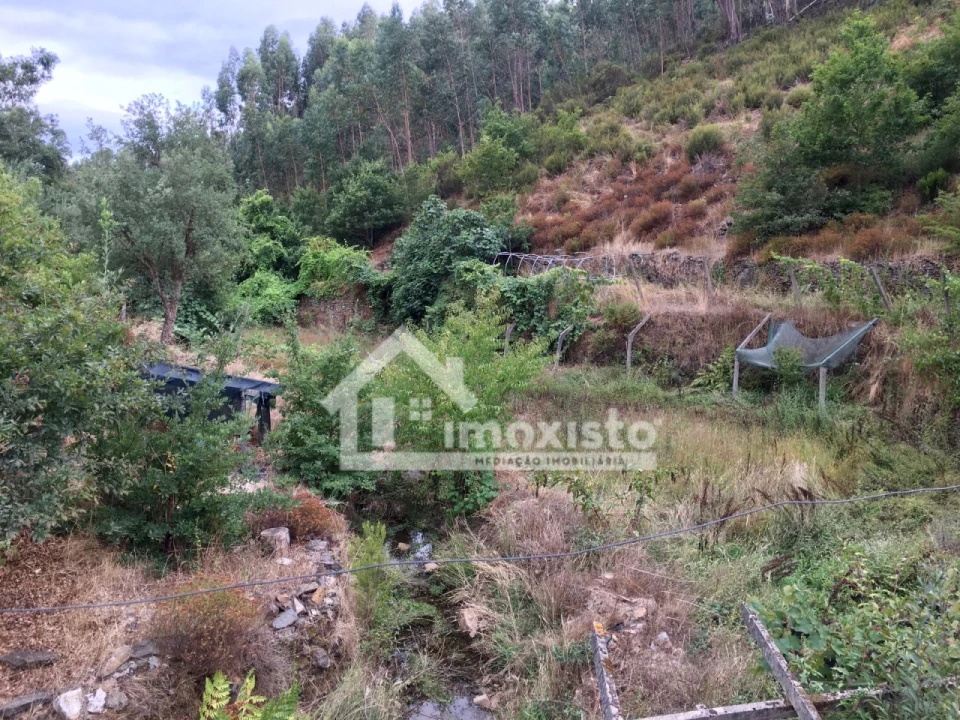 Quinta T3 para Venda em Graça Foto 32