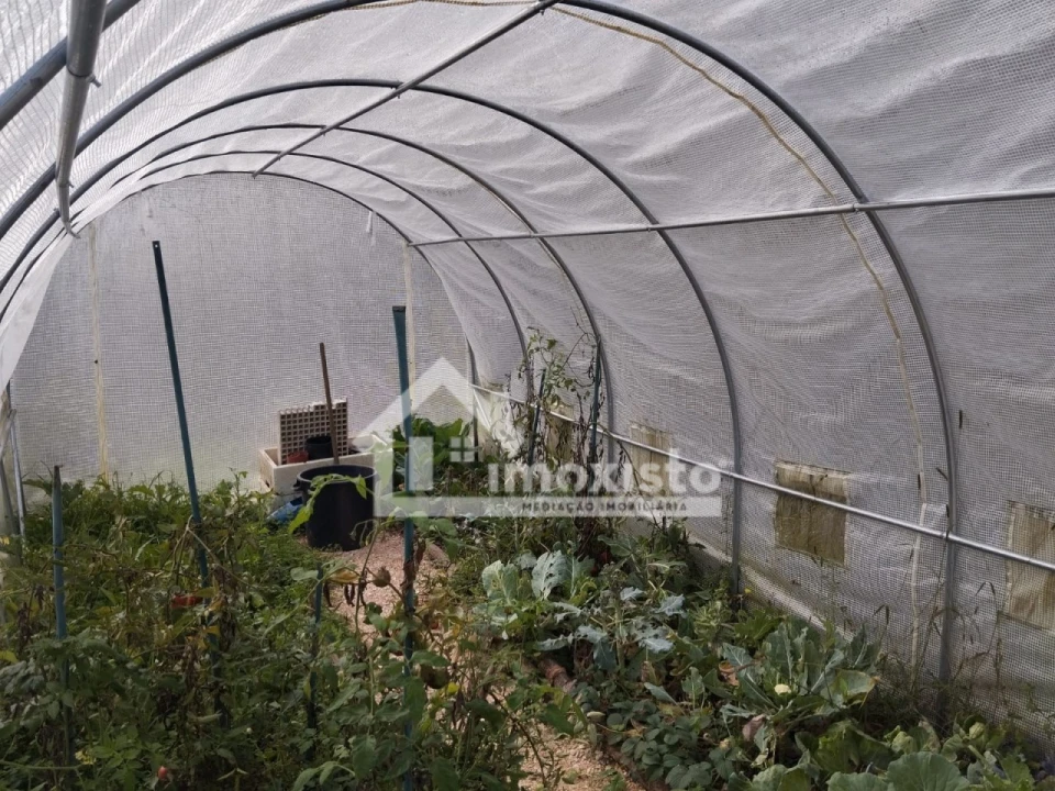 Quinta T3 para Venda em Graça Foto 36