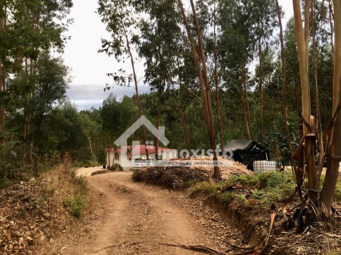 Quinta T3 para Venda em Graça Foto 1