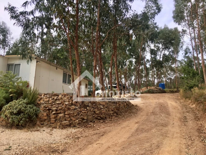 Quinta T3 para Venda em Graça Foto 2