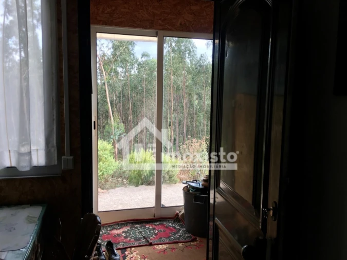 Quinta T3 para Venda em Graça Foto 8