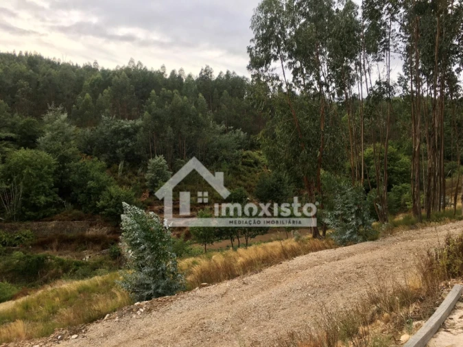 Quinta T3 para Venda em Graça Foto 20