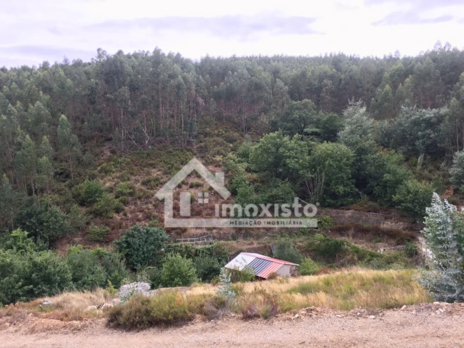 Quinta T3 para Venda em Graça Foto 21