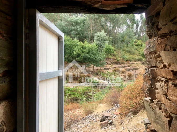 Quinta T3 para Venda em Graça Foto 27