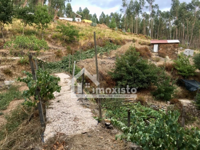 Quinta T3 para Venda em Graça Foto 28