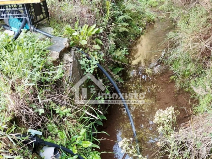 Quinta T3 para Venda em Graça Foto 30