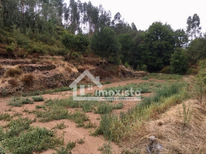 Quinta T3 para Venda em Graça Foto 31