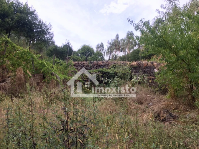 Quinta T3 para Venda em Graça Foto 33