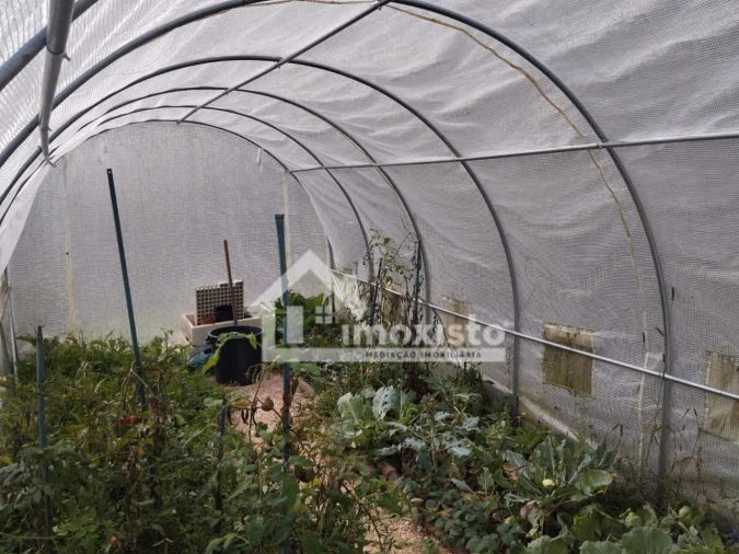 Quinta T3 para Venda em Graça Foto 36