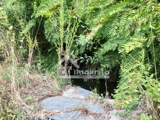 Quinta T3 para Venda em Graça Foto 37