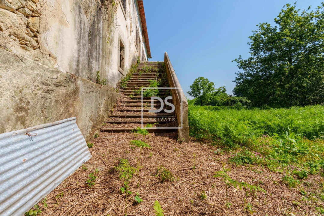 Quinta T10 para Venda em Vila de Cucujães Foto 7