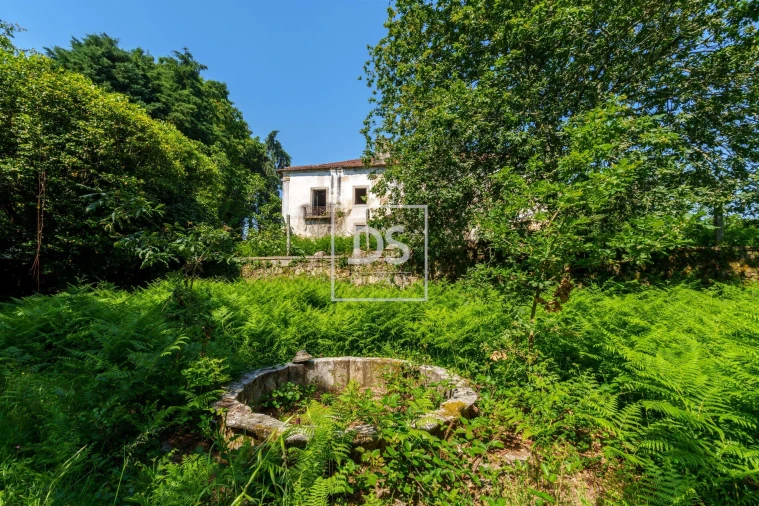 Quinta T10 para Venda em Vila de Cucujães Foto 16