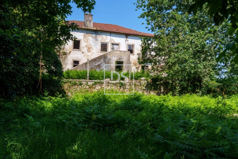 Quinta T10 para Venda em Vila de Cucujães Foto 12