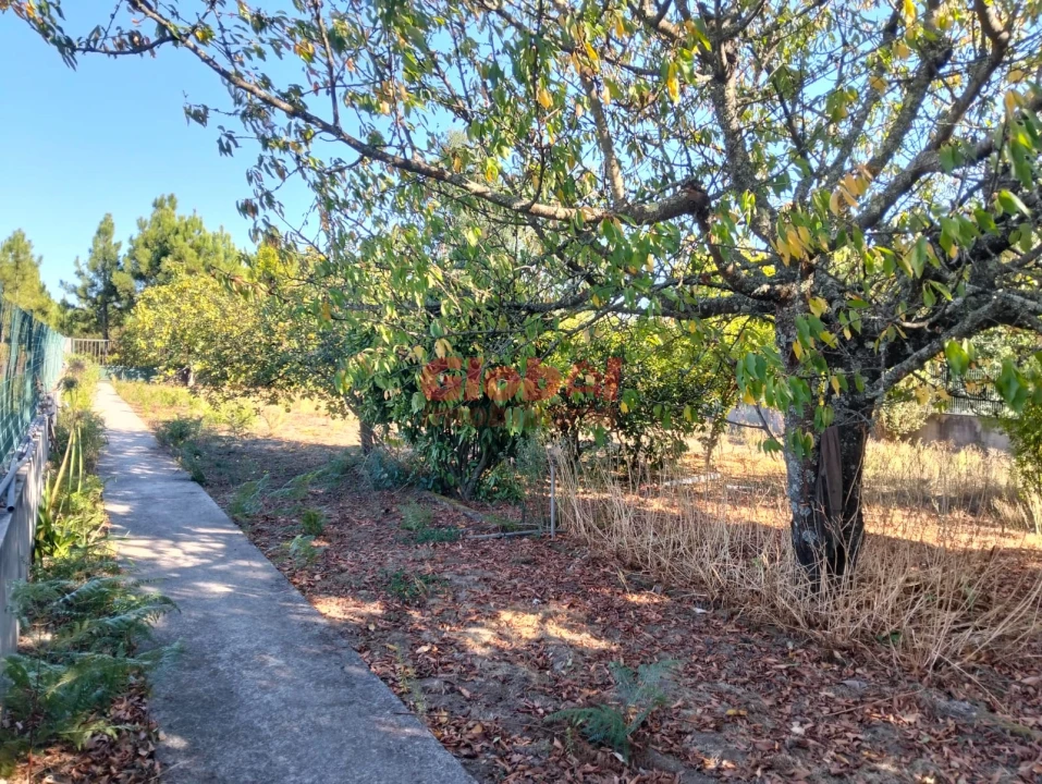 Moradia T3 para Venda em Cavernães Foto 3