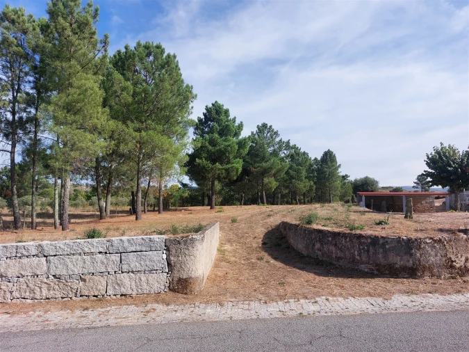 Terreno para Venda em Juncais, Vila Ruiva e Vila Soeiro do Chão Foto 7