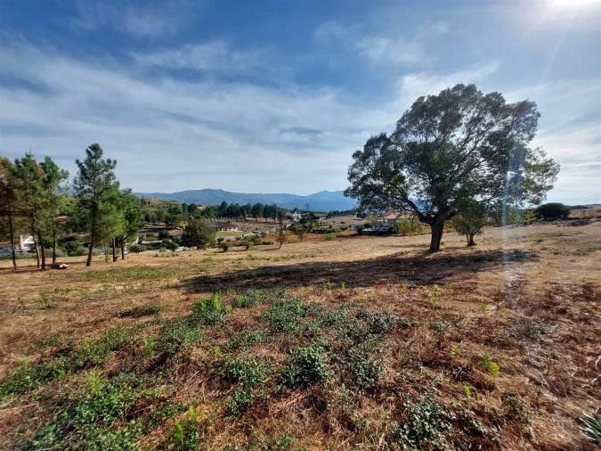 Terreno para Venda em Juncais, Vila Ruiva e Vila Soeiro do Chão Foto 8