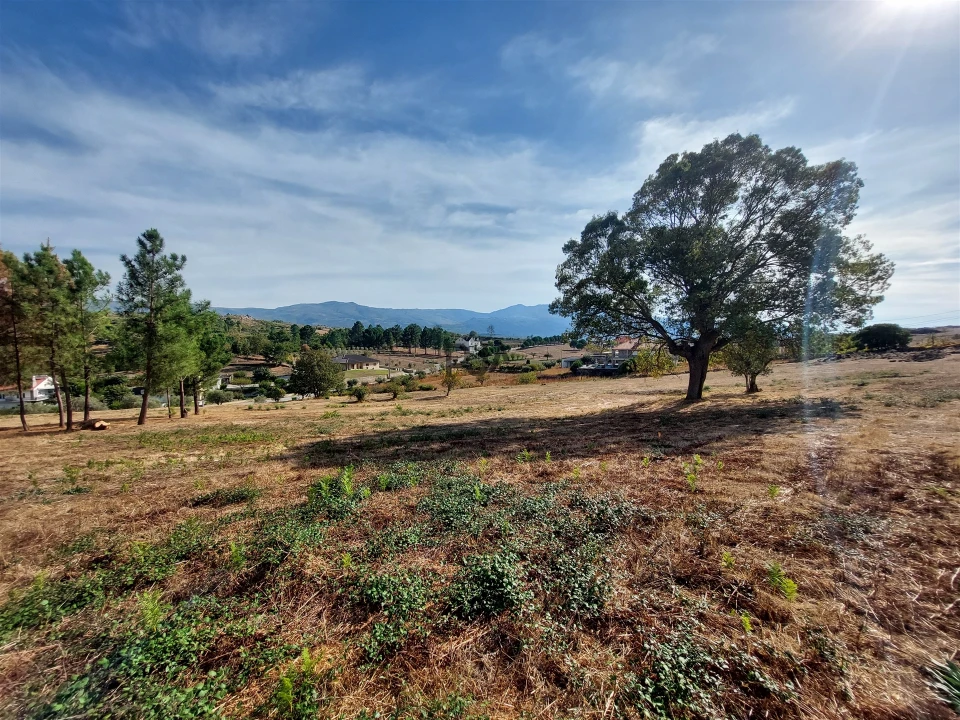 Terreno para Venda em Juncais, Vila Ruiva e Vila Soeiro do Chão Foto 8