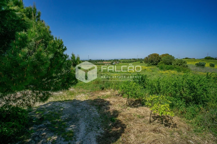 Moradia T3 para Venda em Achete, Azoia de Baixo e Póvoa de Santarém Foto 50