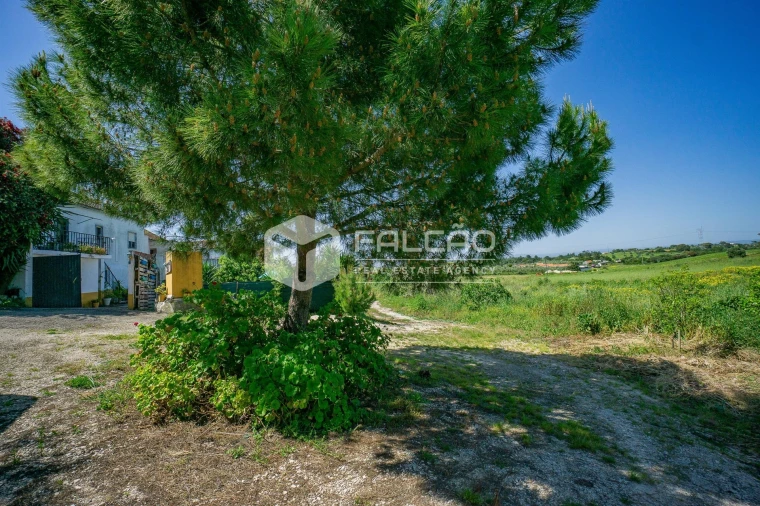 Moradia T3 para Venda em Achete, Azoia de Baixo e Póvoa de Santarém Foto 49