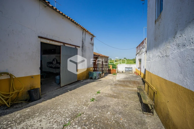 Moradia T3 para Venda em Achete, Azoia de Baixo e Póvoa de Santarém Foto 5