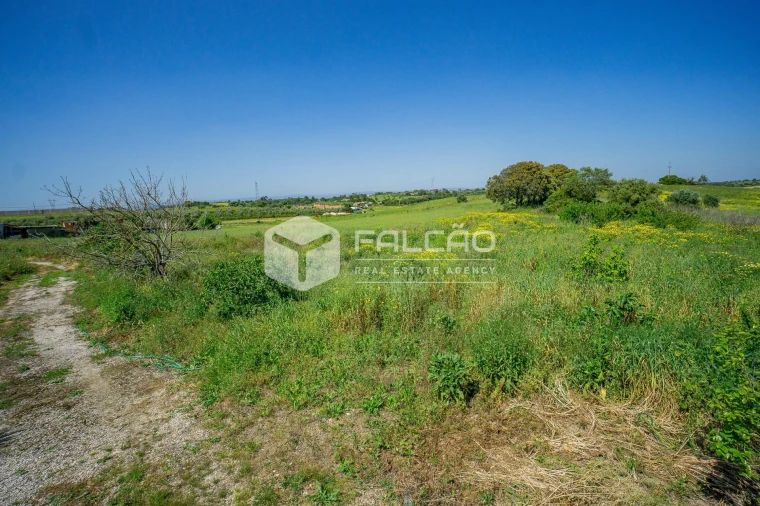 Moradia T3 para Venda em Achete, Azoia de Baixo e Póvoa de Santarém Foto 53