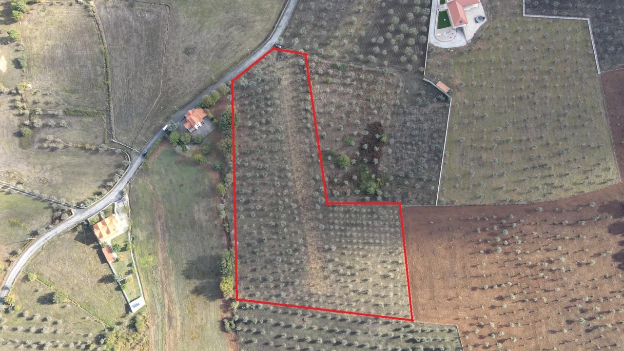 Terreno para Venda em Santa Comba Foto 1