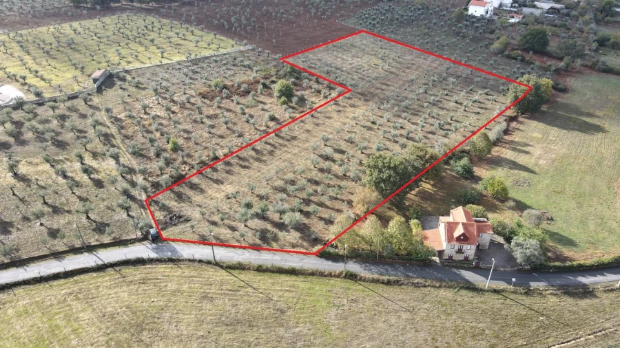 Terreno para Venda em Santa Comba Foto 4