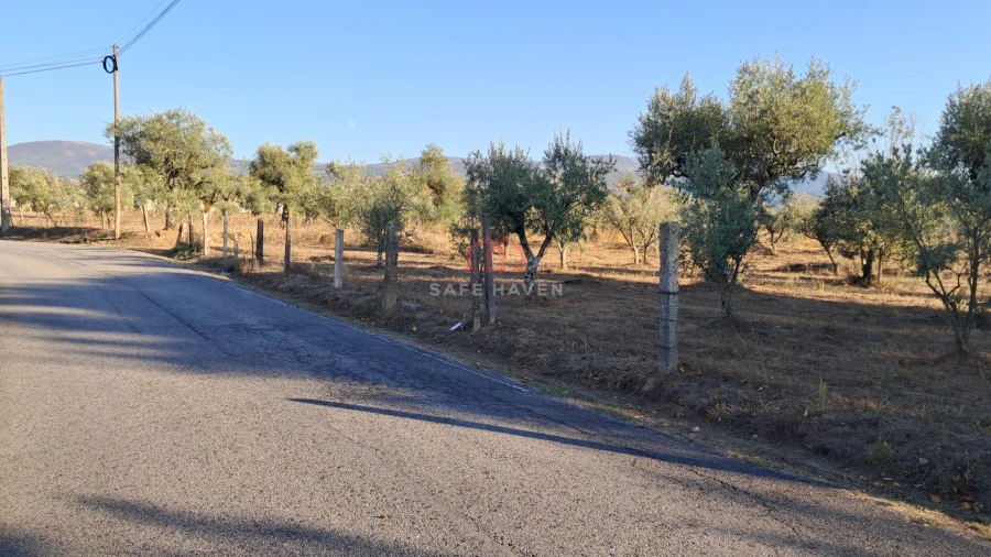 Terreno para Venda em Santa Comba Foto 6